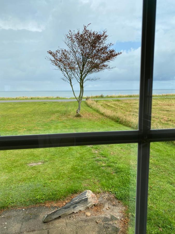 Djursland Lystrup Ferieboliger